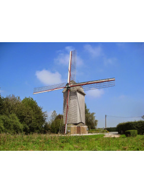 DINATOIRE LE DRIEVENMEULEN  (12 pièces)